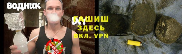 PSILOCYBIN Горно-Алтайск