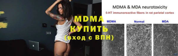 стаф Гусь-Хрустальный