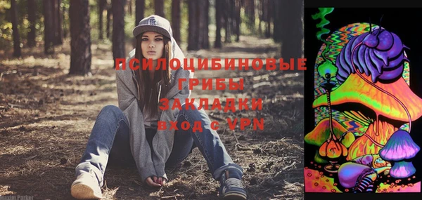 стаф Гусь-Хрустальный