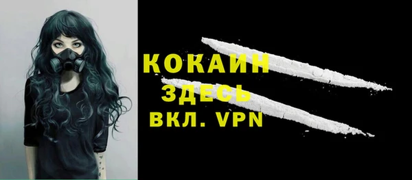 стаф Гусь-Хрустальный