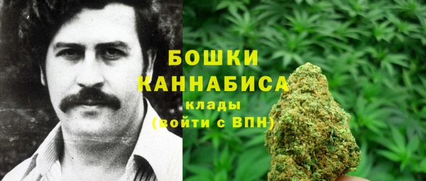спайс Бикин