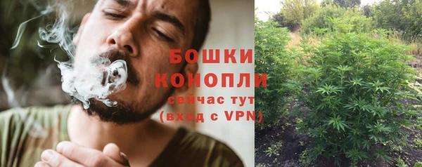 меф Гусев