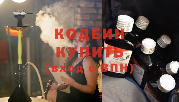стаф Гусь-Хрустальный