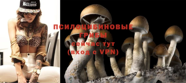 стафф Гусиноозёрск