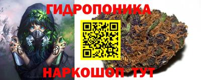 ПСИЛОЦИБИНОВЫЕ ГРИБЫ Бийск
