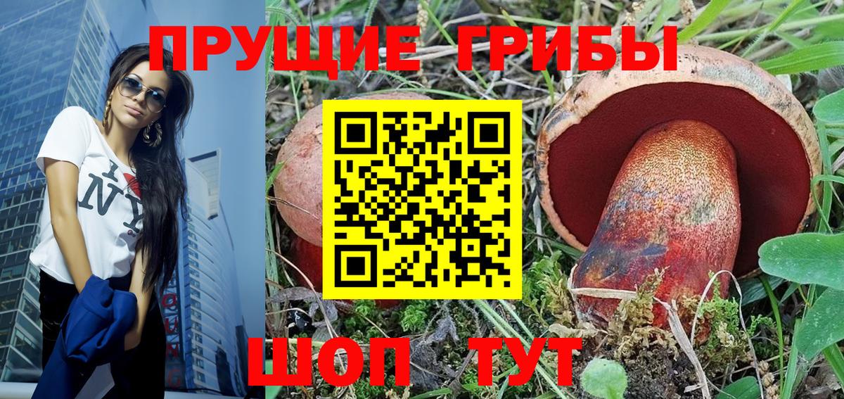 Галлюциногенные грибы Psilocybine cubensis Дивногорск